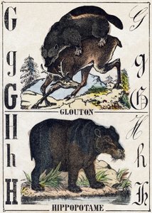 Buchstabe G Vielfraß; H Nilpferd. Gravur in "Alphabet der wilden Tiere". 9. Serie. Bildersammlung von Epinal, Pellerin, Drucker-Verleger, um 1870 von French School