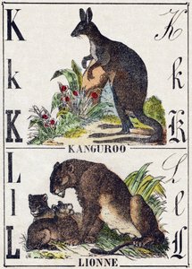 Buchstabe K L; K Känguru; L Löwin. Gravur in "Alphabet der wilden Tiere". 9. Serie. Bildersammlung von Epinal, Pellerin, Drucker-Verleger, um 1870 von French School