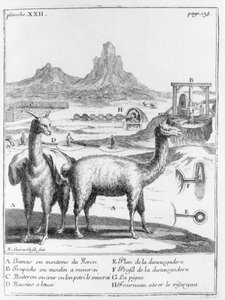 Lamas und Diagramme zur Mineralgewinnung, aus Relation du voyage de la mer du sud aux cotes du Chily et du Perou von A.F. Frezier, 1716