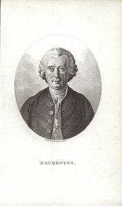 Louis-Jean-Marie Daubenton von French School
