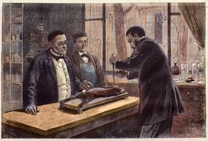 Louis Pasteur (1822-1895), französischer Chemiker und Mikrobiologe, experimentiert an einem chloroformierten Kaninchen während seiner Suche nach einem Tollwutheilmittel
