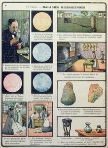 Louis Pasteur (1822-95) und bakterielle Krankheiten, aus Les Sciences Physiques et Naturelles, Paris, 1908 von French School
