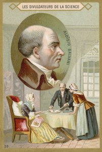 Luigi Galvani, Italienischer Arzt und Physiker von French School