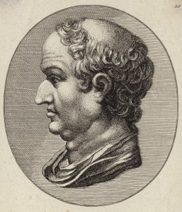 Maecenas