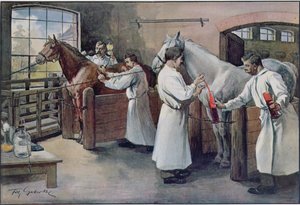 Herstellung von Diphtherie-Serum aus Pferdeblut, aus Les Animaux, ca. 1900 von French School