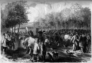 Pferdemarkt in Paris