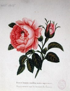 Marie-Louise (1791-1847) mit ihrem Sohn, dem König von Rom (1811-32)