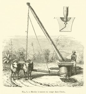 Zuckerrohrmühle in Gebrauch in Indien von French School