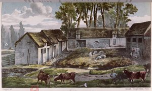 Herr Vandercolmes Bauernhof in Armbouts-Cappel (Nord) vor der Verbesserung der Mistgrube, 1867 von French School