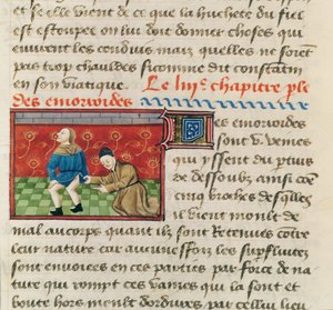 Untersuchung eines Patienten mit Hämorrhoiden, aus Le Livre des Propriétés des choses von Barthélemy l