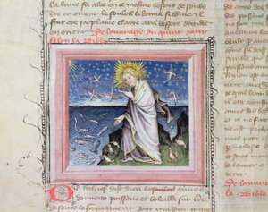 Ms 313 Schöpfung der Tiere, aus der Bible des Grands Augustins