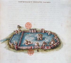 Die Bäder von Bourbon l