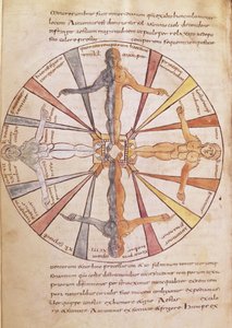 Ms 422 fol.6v Rad der Jahreszeiten und Monate, aus De Natura Rerum von St. Isidor von Sevilla