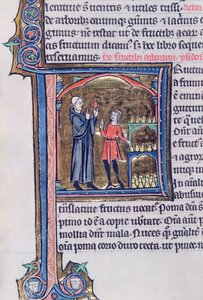 Ms 426 fol.135 Lehre der besten Methode zur Konservierung von Birnen, aus Le Miroir de la Nature von Vincent de Beauvais