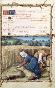 Ms 438 Der Monat Juli: Getreideernte, aus einem Stundenbuch, 1490 von French School
