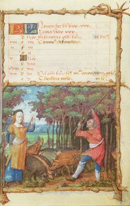 Ms 438 Der Monat November: Eicheln sammeln, aus einem Stundenbuch, 1490