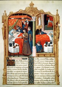 Wunder am Grab von St. Louis, aus Le Livre des Faiz de Monseigneur Saint Louis