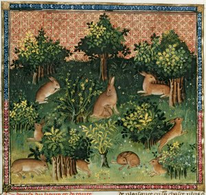 Hasen im Wald, aus dem Livre de la Chasse von Gaston Phoebus de Foix (1331-91)