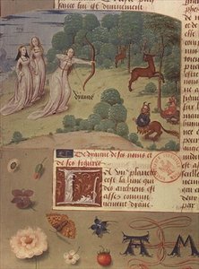 Ms Fr 9197 fol.140v Diana bei der Jagd, aus Livre des Eschecs D