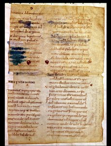 Inventar des karolingischen Grundbesitzes, aus dem Polyptychon des Abtes Irminon von Saint-Germain-des-Pres