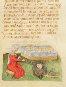 Ms. Tractatus de Herbis von Dioscorides, fol.142r Brötchen backen von French School