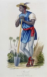 Neger Pflanzer von Brasilien - aus „Bibliotheque Universelle des Voyages“ von Albert-Montémont, ed. Armand-Aubrée, Paris von French School