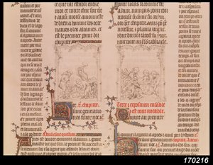 Noah im Weinberg und die Trunkenheit Noahs, aus der Bibel von Jean Sy, ca. 1355