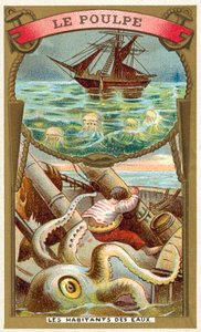 Oktopus von French School