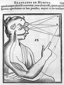 Ophthalmologie: Das Auge und das Sehen von French School