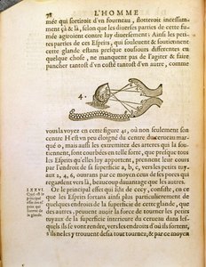 Optisches Diagramm, aus De Homine Figuris von René Descartes, veröffentlicht in Den Haag, 1662