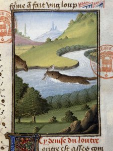 Otter - aus „Hunting Book of Gaston Phoebus, Count of Foix, Lord of Béarn“ von French School