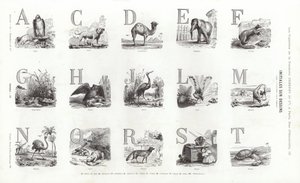 Seite aus Vignettes Typographiques (Gravur) von French School