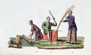 Papierherstellung aus Bambus, aus La Chine en Miniatures von M. Breton, veröffentlicht in Paris, 1811 von French School
