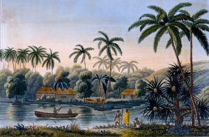 Teil des Dorfes Matavae, Kokospalmen und andere Früchte, Tahiti, aus Voyage autour du Monde sur la Corvette Coquille von Leutnant Louis Isodore Duperrey, veröffentlicht 1826 von French School