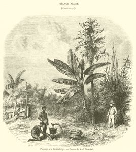 Landschaft in Guadeloupe von French School
