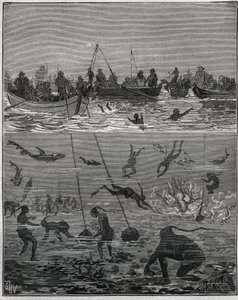 Perlenfischer in Ceylon (heutiges Sri Lanka) im 19. Jahrhundert. Gravur von 1885 in „Les arts et métiers illustrés“ von Adolphe Bitard. von French School