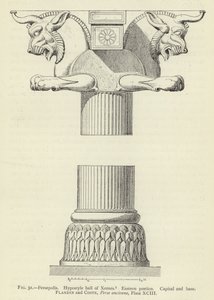 Persepolis, Hypostylhalle des Xerxes, Östliches Portikus, Kapitell und Basis von French School