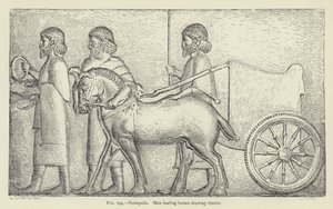 Persepolis, Männer führen Pferde, die einen Wagen ziehen von French School