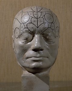 Phrenologischer Kopf von Jean Martin Charcot von French School