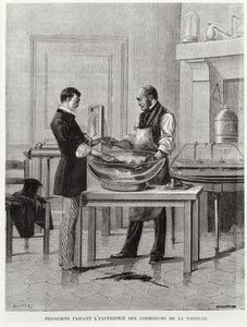 Physiker experimentieren an einem Torpedo, 2. Hälfte des 19. Jahrhunderts von French School