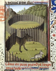 Wolf Falle - in „Jagd Buch von Gaston Phoebus, Graf von Foix, Herr von Béarn“