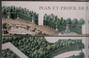 Plan und Querschnitt des Hains, aus 