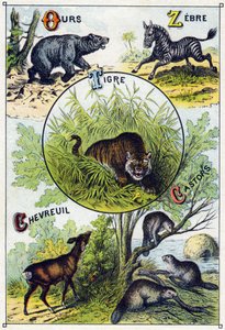 Tafel 2: Bär, Zebra, Tiger, Hirsch, Biber. Gravur in "Silbenalphabet der wilden Tiere". Serie A. Pellerin et Cie, Drucker-Verleger, Epinal, Ende des 19. Jahrhunderts