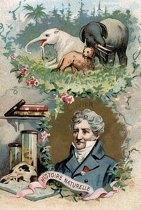 Porträt von Baron Georges Cuvier, französischer Zoologe und Paläontologe (1769-1832), Begründer der vergleichenden Anatomie. Chromolithographie des 19. Jahrhunderts von French School