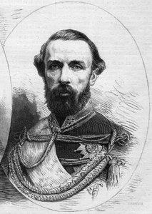 Porträt von Karl XV.