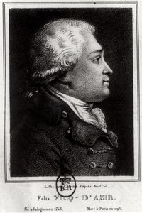 Porträt von Felix Vicq d