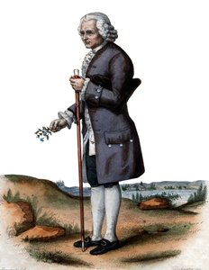 Porträt von Jean-Jacques Rousseau (1712-1778), Schweizer Philosoph