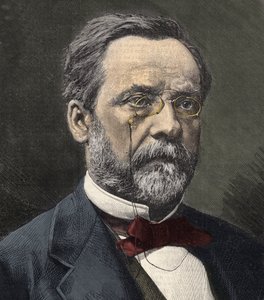 Porträt von Louis Pasteur (1822-1895), englischer Chemiker und Mikrobiologe von French School
