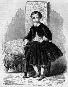 Porträt von Napoleon Eugène Louis Jean Joseph Bonaparte (1856-1879), bekannt als Prinz Imperial, Sohn von Napoleon III. Gravur in „Le Monde Illustré“ Nr. 137 vom 26. November von French School
