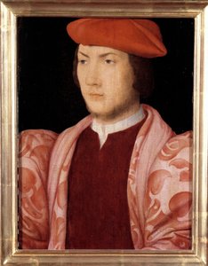 Porträt von Odet de Coligny, Kardinal von Chatillon im Jahr 1534 (Sohn von Gaspard de Coligny, Marschall von Frankreich und Bruder von Admiral Gaspard de Coligny) (1517-1571) um 1535